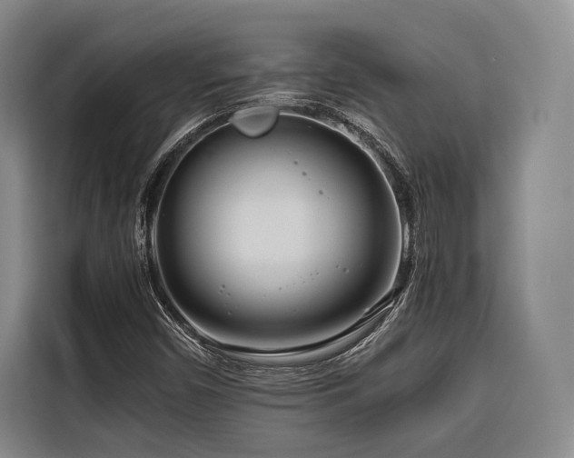 X0000116661450200912141311