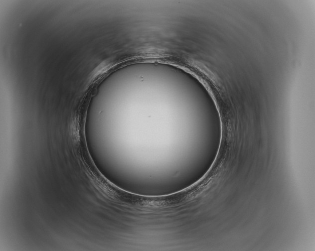 X0000116661451200912141311