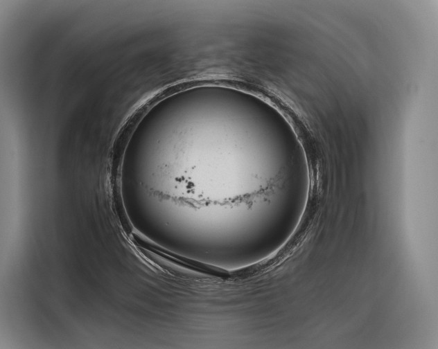 X0000116661452200912141311