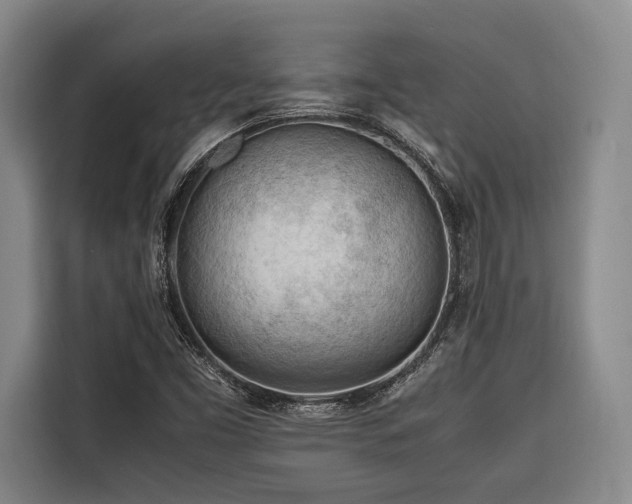 X0000116661453200912141311