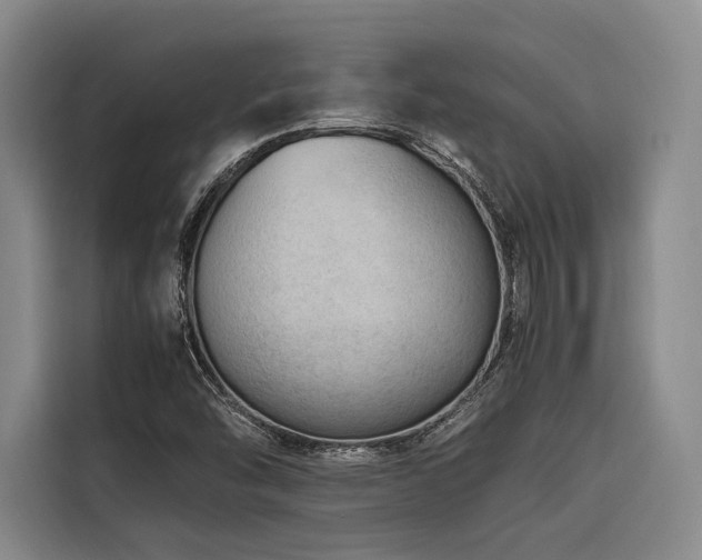 X0000116661454200912141311