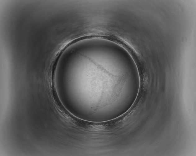 X0000116661455200912141311