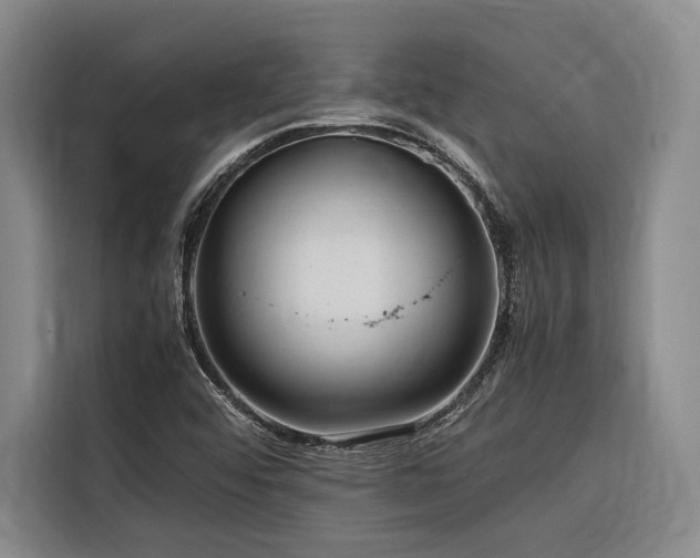 X0000116661456200912141311