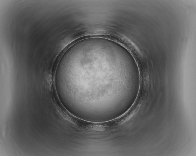 X0000116661457200912141311