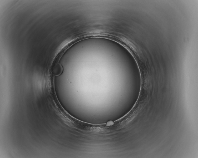 X0000116661458200912141311