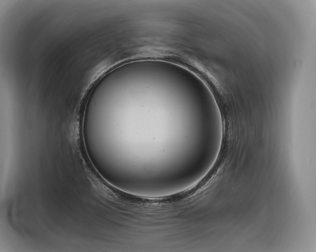 X0000116661459200912141311