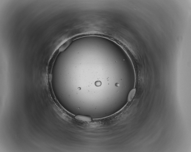 X0000116661460200912141311