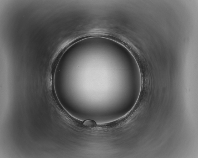 X0000116661461200912141311