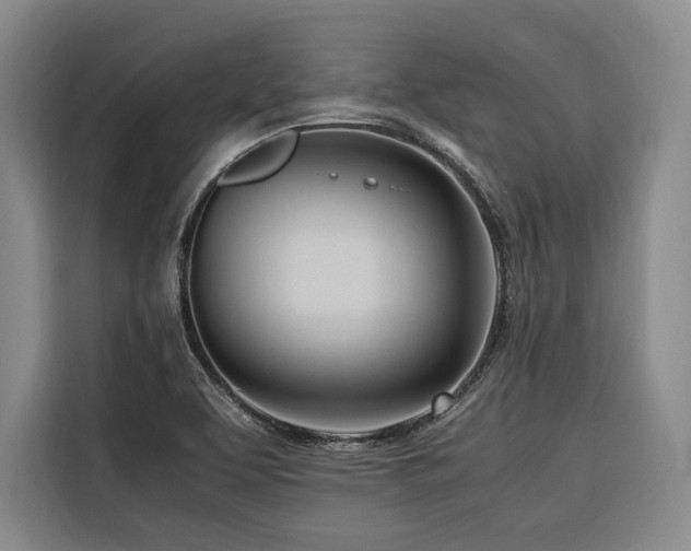 X0000116661463200912141311