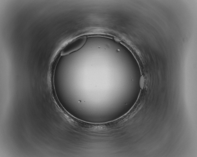 X0000116661464200912141311