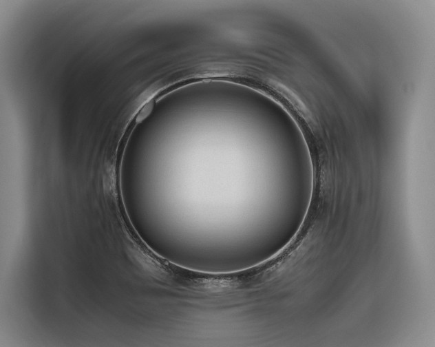 X0000116661465200912141311