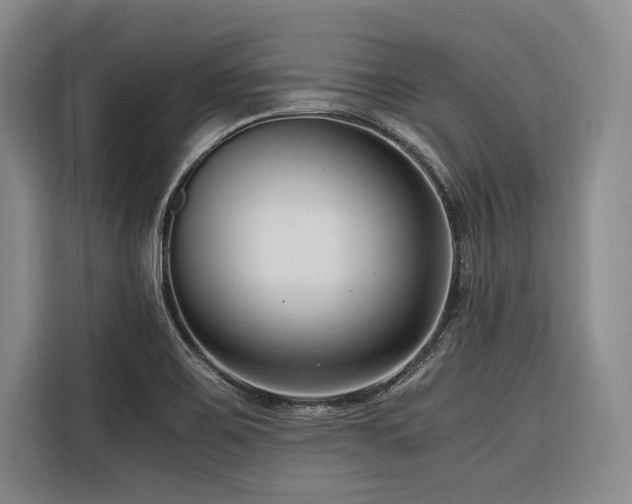 X0000116661467200912141311