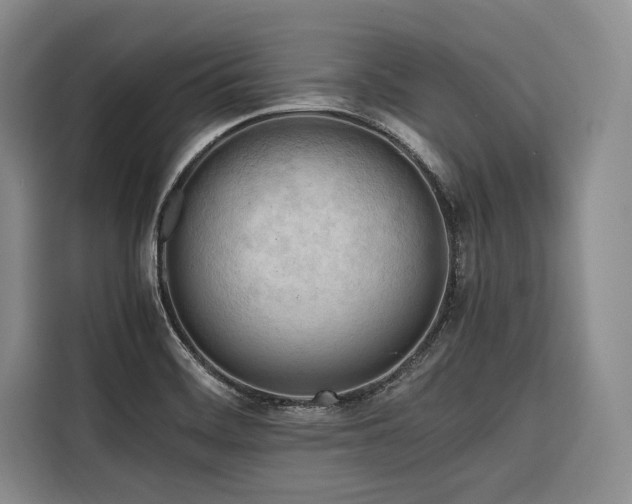 X0000116661468200912141311