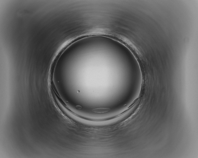 X0000116661469200912141311