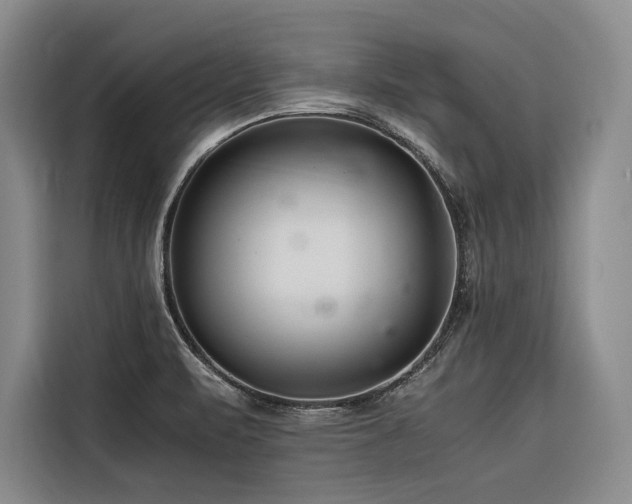 X0000116661471200912141311