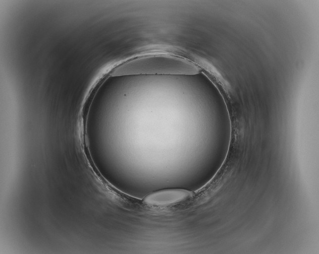 X0000116661472200912141311