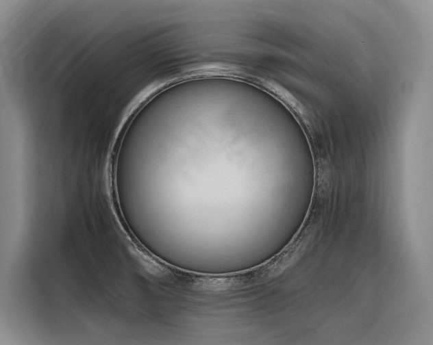 X0000116661474200912141311