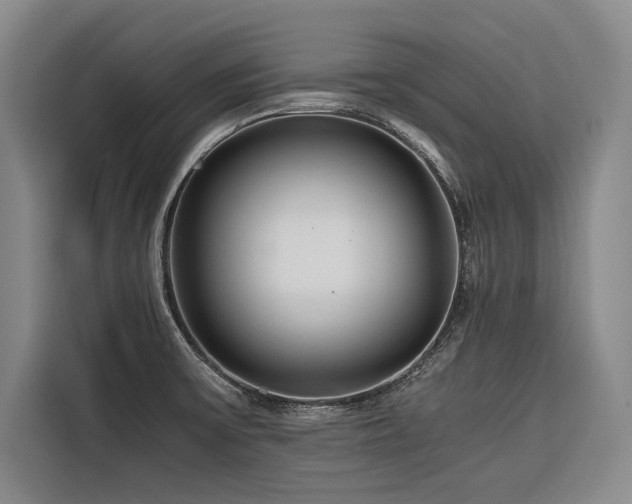 X0000116661475200912141310