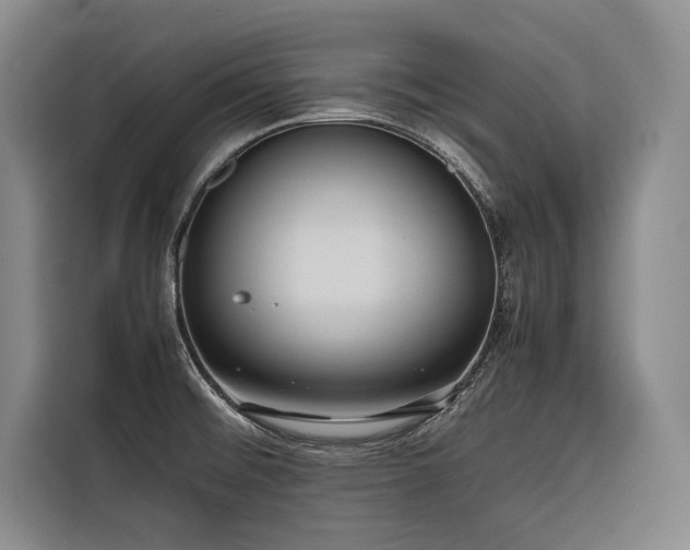 X0000116661476200912141310