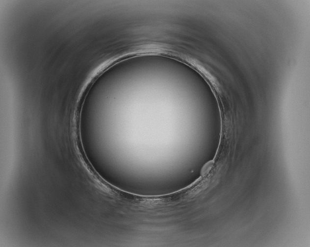 X0000116661477200912141310