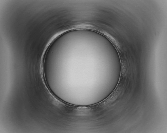 X0000116661478200912141310