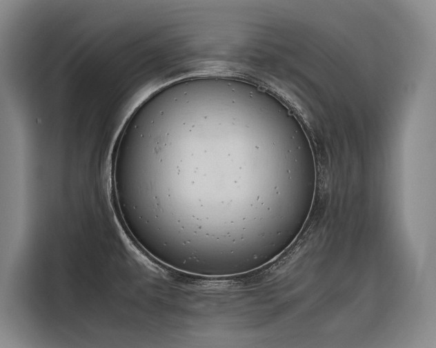 X0000116661479200912141310