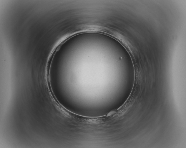 X0000116661480200912141310