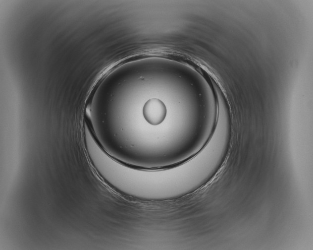 X0000116661481200912141310