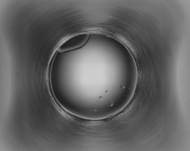 X0000116661482200912141310