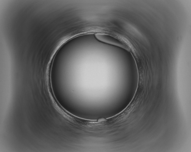 X0000116661483200912141310