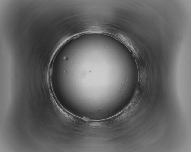 X0000116661484200912141310