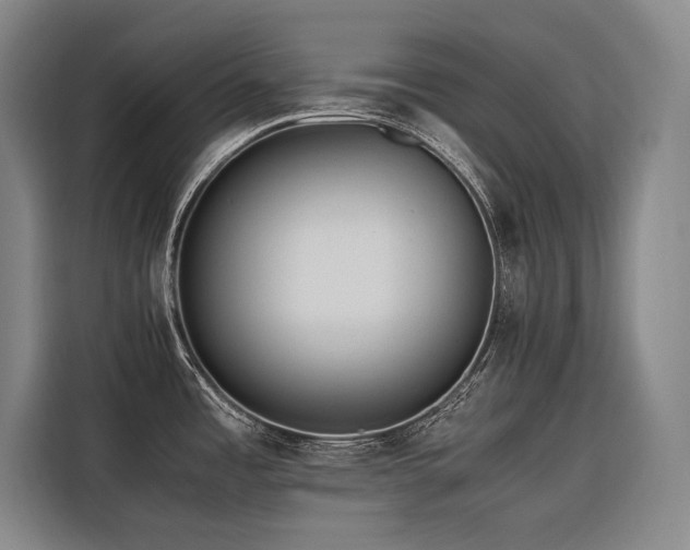 X0000116661485200912141310