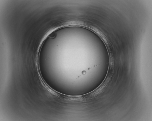 X0000116661486200912141310