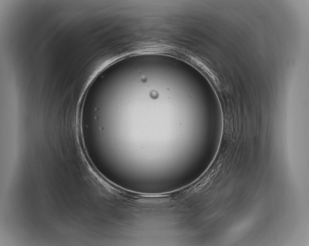 X0000116661487200912141310