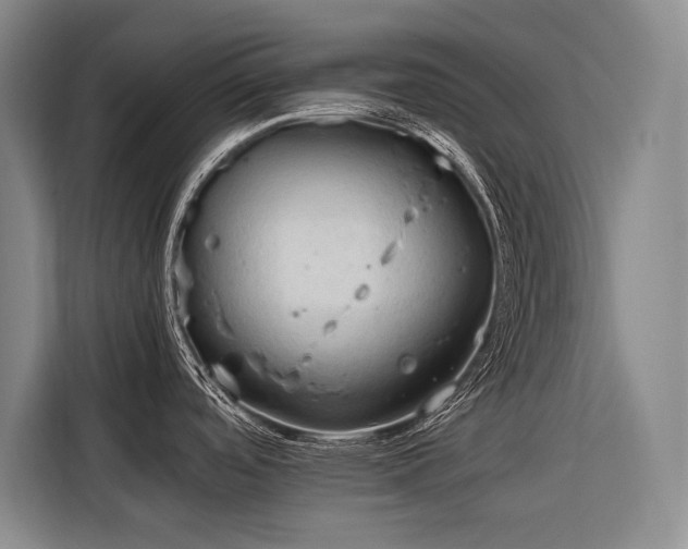 X0000116661488200912141310