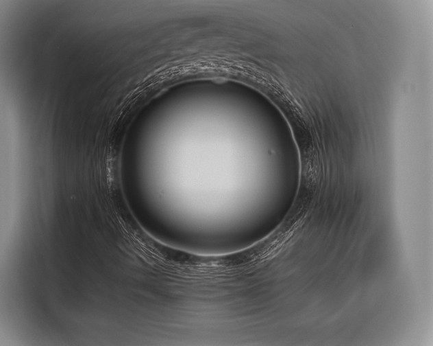 X0000116661490200912141310