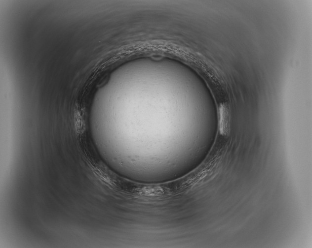 X0000116661491200912141310