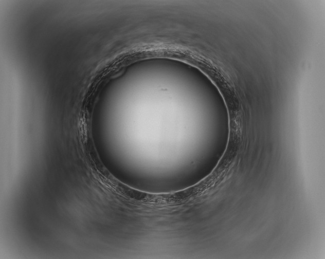 X0000116661493200912141310