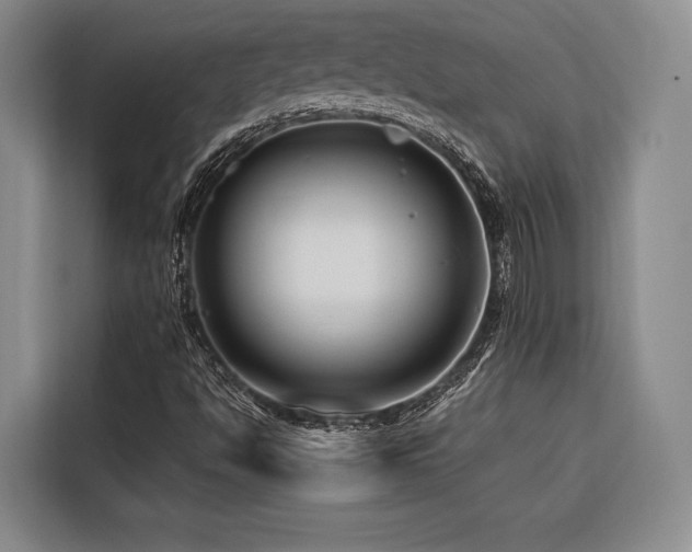 X0000116661494200912141310