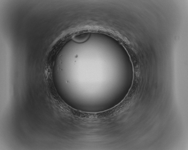 X0000116661495200912141310