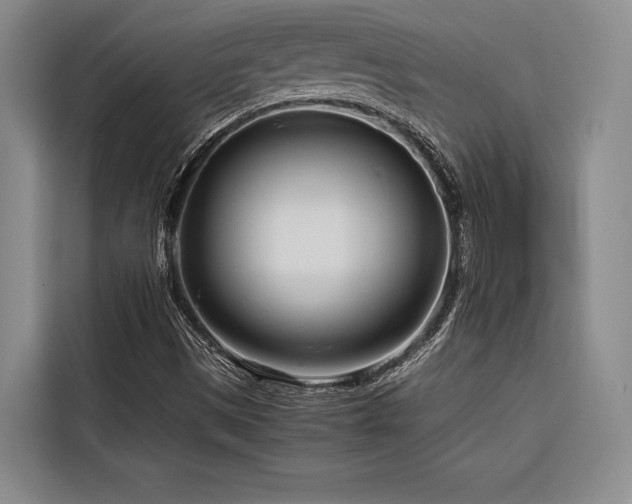 X0000116661497200912141310