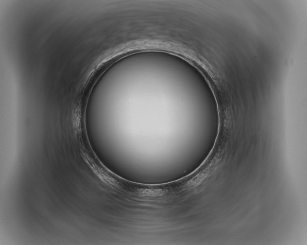 X0000116661499200912141310