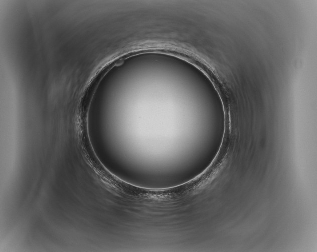 X0000116661501200912141310