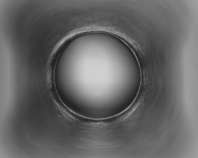 X0000116661502200912141310