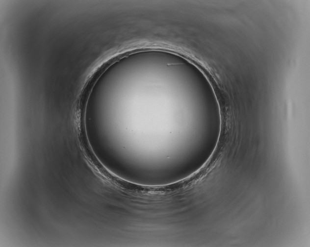 X0000116661503200912141310