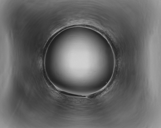 X0000116661505200912141310