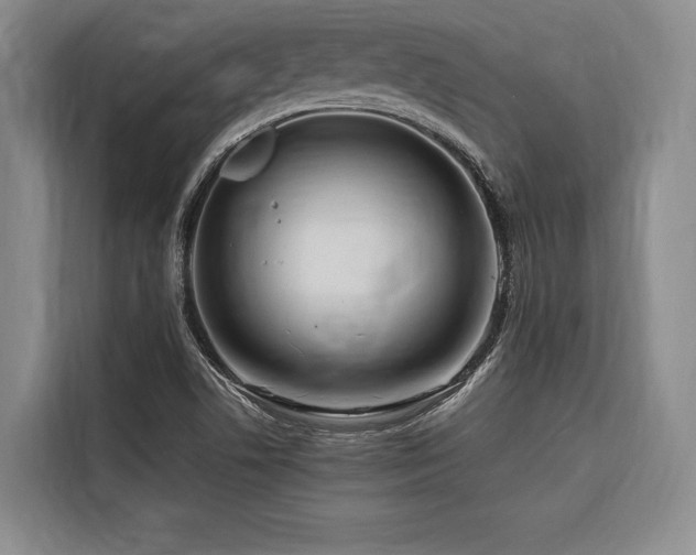 X0000116661506200912141310