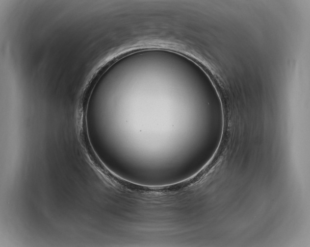 X0000116661507200912141310