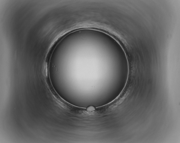 X0000116661509200912141310