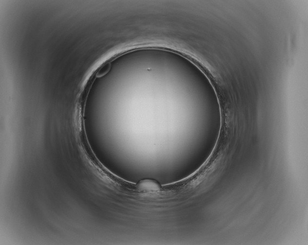 X0000116661510200912141310